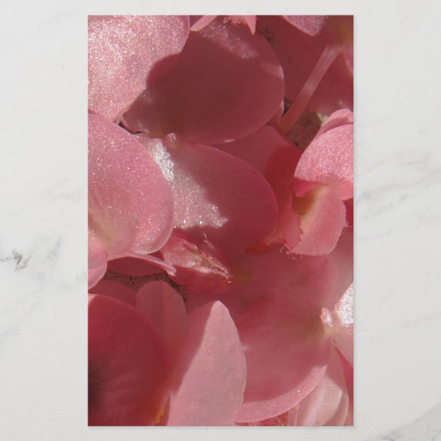 Papelaria Gerânio rosa: quase Rosas claro sólidas (Frente)