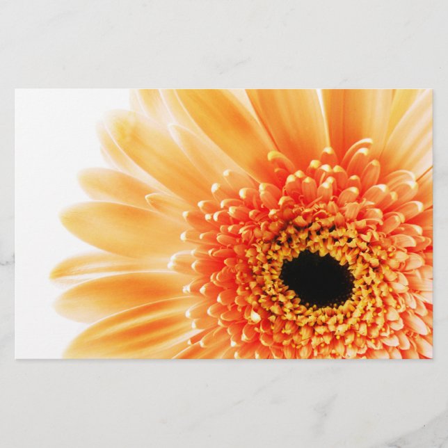 Papelaria Gerbera (Frente)