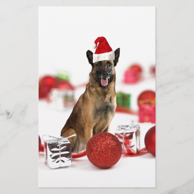 Papelaria German shepherd com presentes de Natal Papai Noel (Frente)