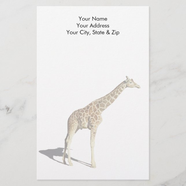 Papelaria Girafa (Frente)