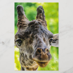 Papelaria Girafa Eyelashes