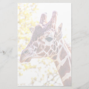 Papelaria Giraffe Portrait