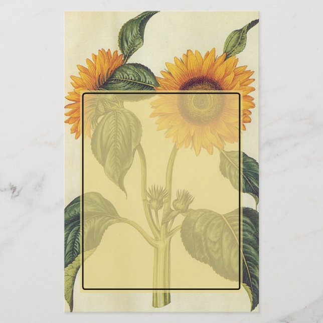 Papelaria Girassóis (Frente)