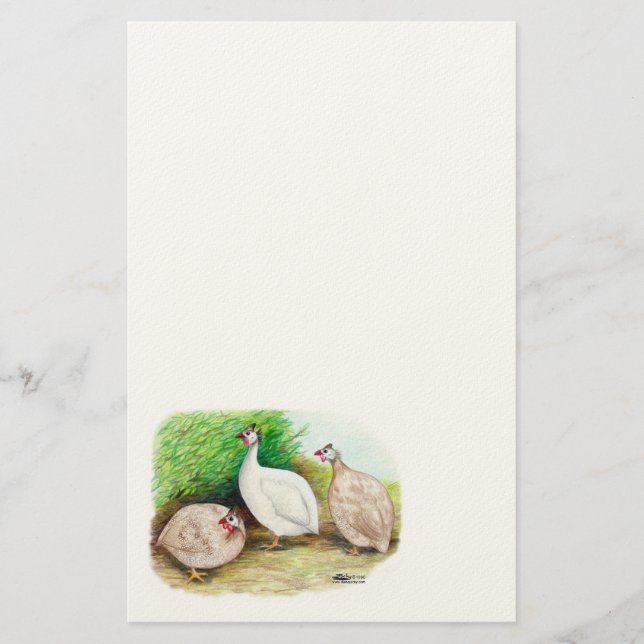 Papelaria Guineense Fowl Outside (Frente)