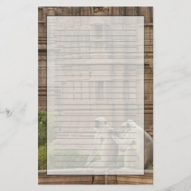 Papelaria Hanuman Langurs ou de cara preta, Comum ou Cinza (Frente)