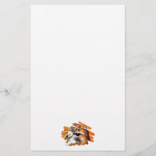 PAPELARIA HAWK