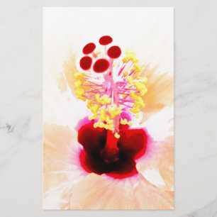 Papelaria Hibisco Rosa