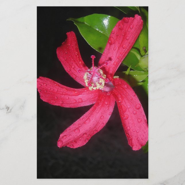 Papelaria hibiscus vermelho (Frente)