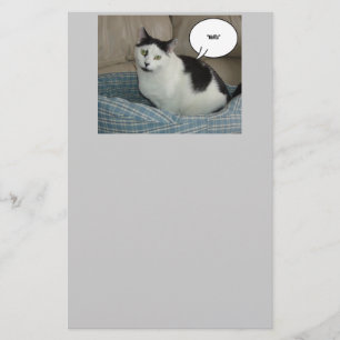 Papelaria Holla Cat Humor
