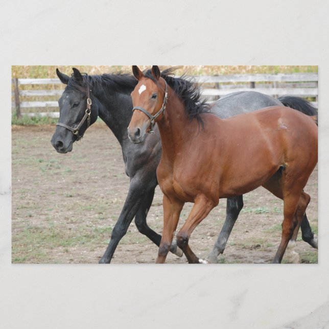 Papelaria Horse Play (Frente)