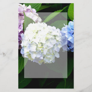 Papelaria Hydrangeas