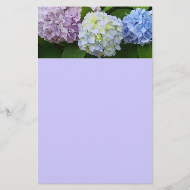 Papelaria Hydrangeas (Frente)
