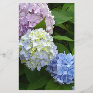 Papelaria Hydrangeas