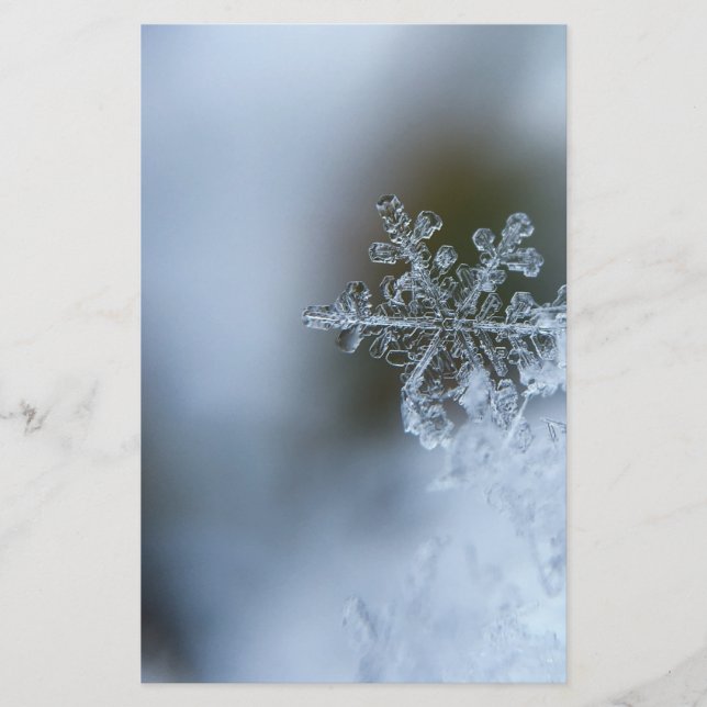 Papelaria Icy Snowflake (Frente)