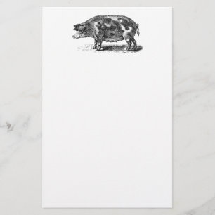Papelaria Ilustração doméstica do porco do vintage - porc