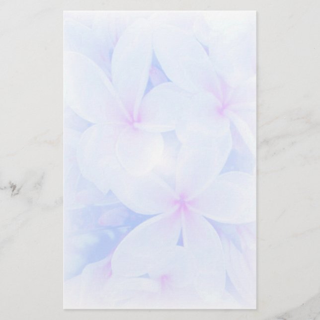 Papelaria Jardim das naturezas (Frente)