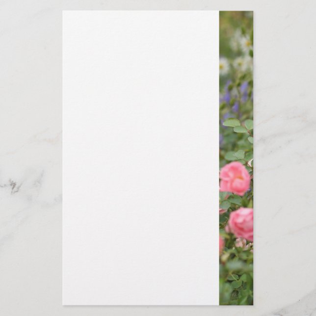 Papelaria Jardim de Algodão Inglês (Frente)