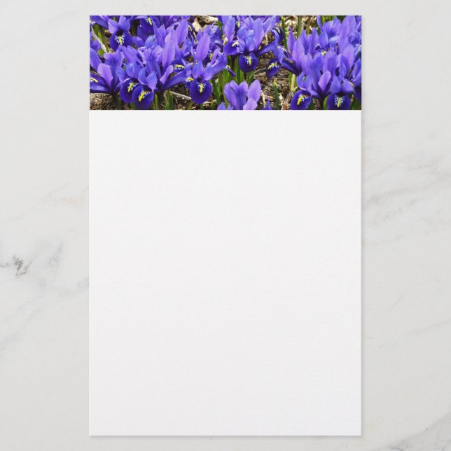 Papelaria Katherine Hodgkin Irrises Primavera Floral Roxo (Frente)