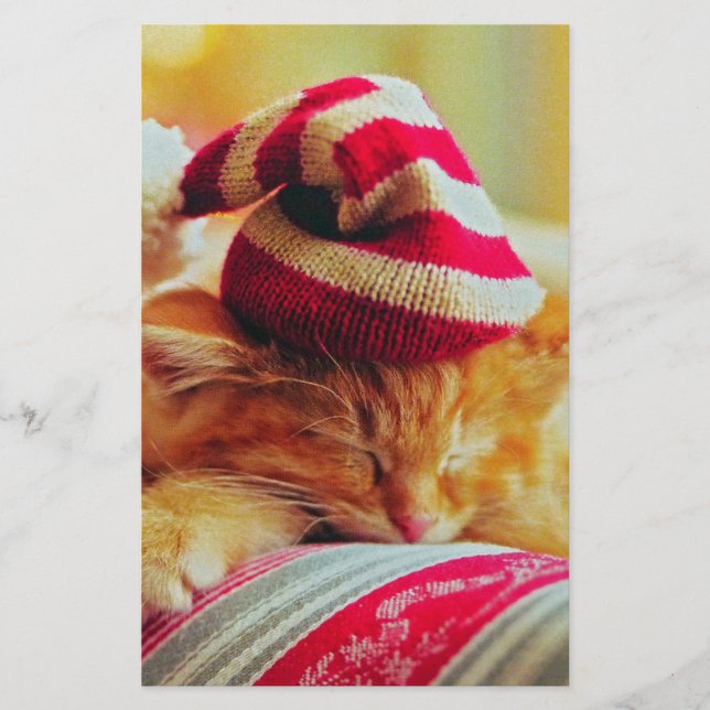 Papelaria Kitten Natal (Frente)