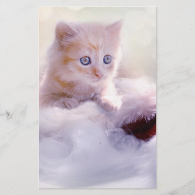 Papelaria Kitten Natal (Frente)