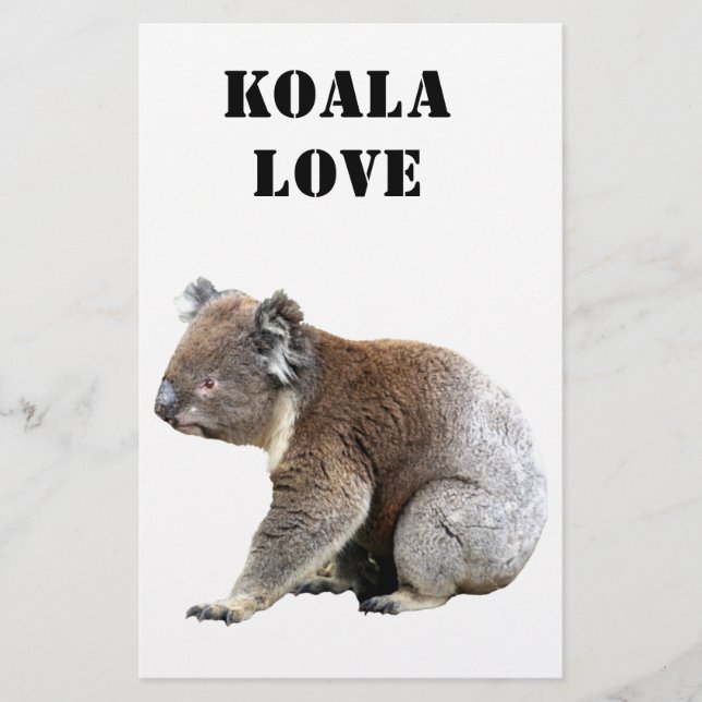 Papelaria Koala (Frente)