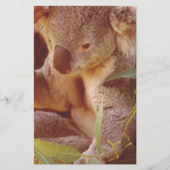 Papelaria Koala Bear Love (Frente)