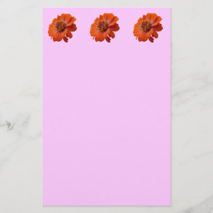 Papelaria Laranja Zinnia Wildflower Natureza Floral