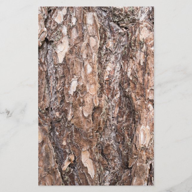 Papelaria Latido de Pine (Frente)