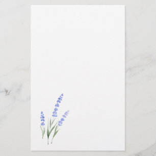Papelaria Lavanda da aguarela