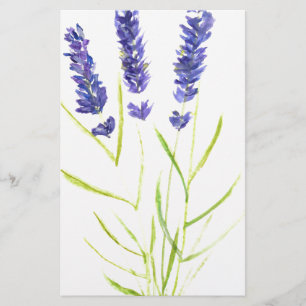 Papelaria Lavanda herbácea Lavanda flores aquarela