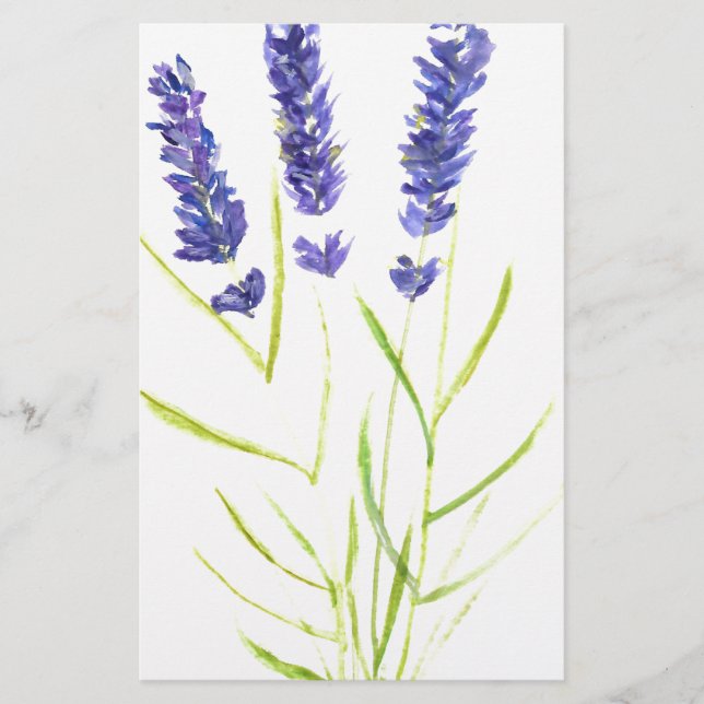 Papelaria Lavanda herbácea Lavanda flores aquarela (Frente)
