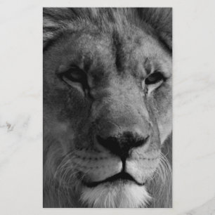 Papelaria Leão preto e branco