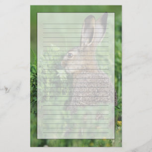Papelaria Lebre-marrom, Lepus europaeus, jovem comendo,