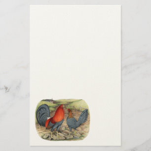 Papelaria Leds Azuis do Jogo Americano