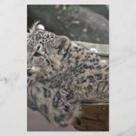 Papelaria Leopardo-das-neves