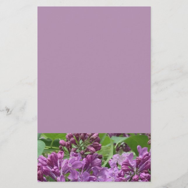 Papelaria Lilac (Frente)