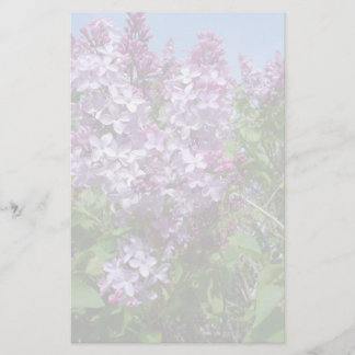 Papelaria Lilacs roxos Fade25