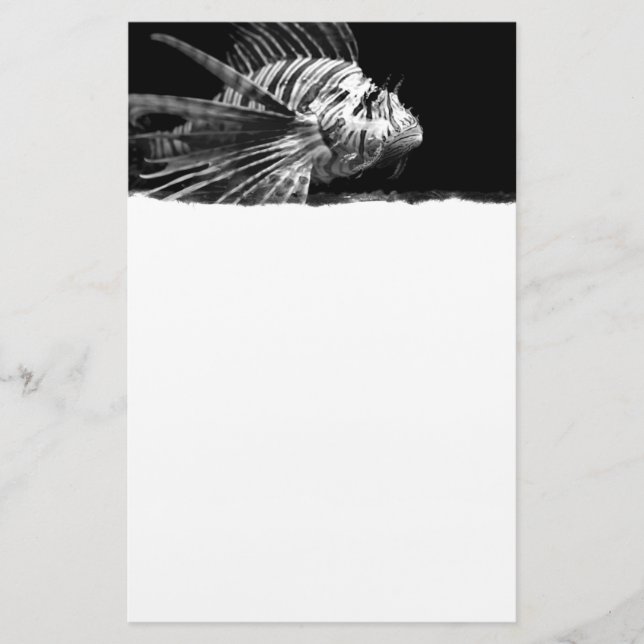 Papelaria Lionfish preto e branco (Frente)