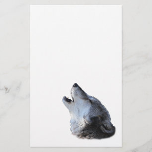 Papelaria lobo