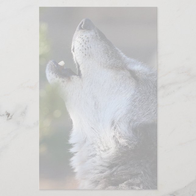 Papelaria lobo (Frente)