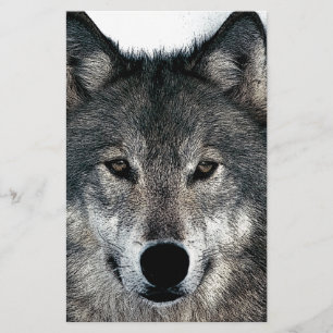 Papelaria Lobo Cinzento