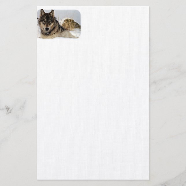 Papelaria Lobo cinzento ou lobo de madeira que coloca na (Frente)