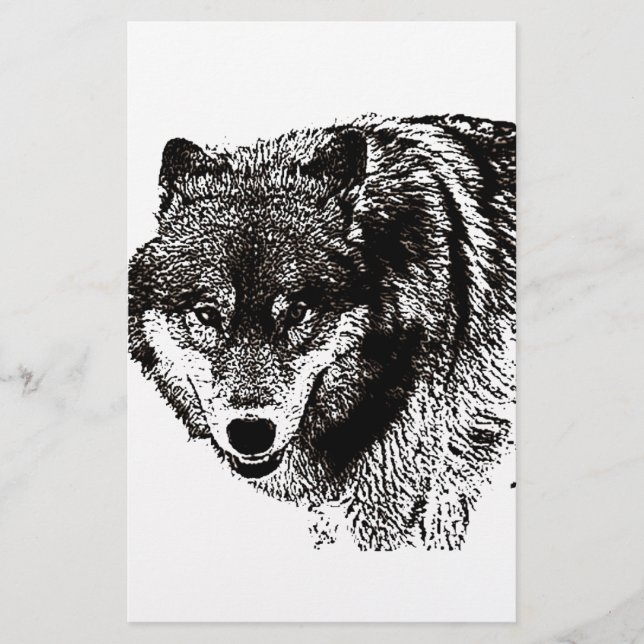 Papelaria Lobo Selvagem (Frente)