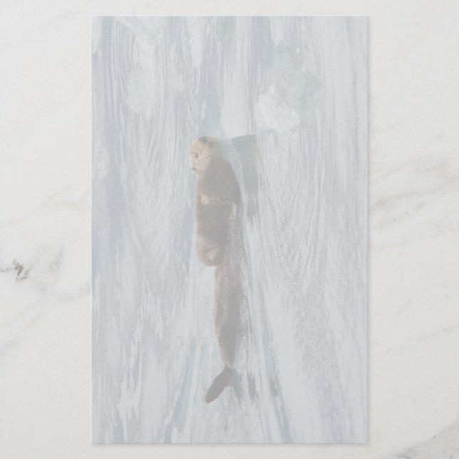 Papelaria lontra & filhote de cachorro de mar (Frente)