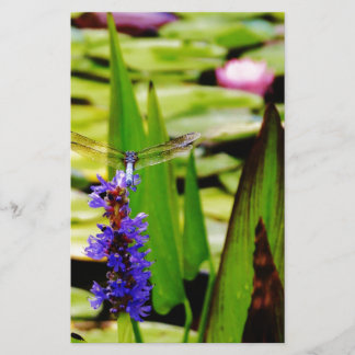 Papelaria Lótus de Dragfly e flor púrpura