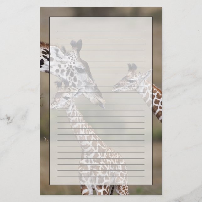 Papelaria Maasai Giraffe (Giraffe Tippelskirchi) (Frente)