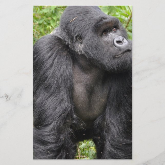 Papelaria Macaco Feliz (Frente)