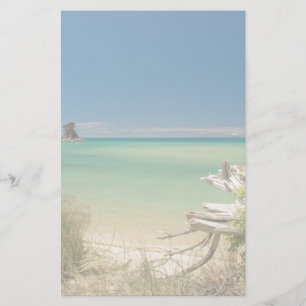 Papelaria Madeira lançada costa