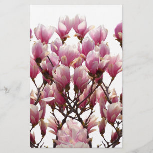 Papelaria MAGNÓLIAS ROSAS EM FLOR Flor de Primavera