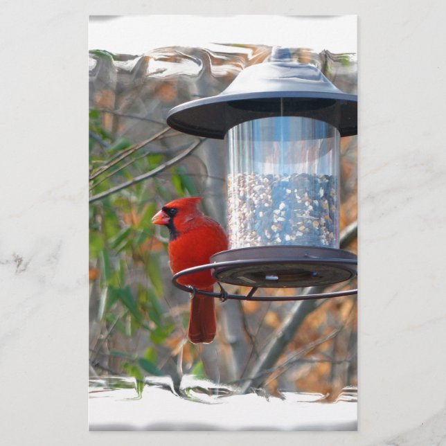 Papelaria Male Cardinal (Frente)